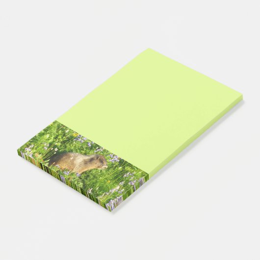 Marmot in Mount Rainier Wildbloemen Post-it® Notes (Schuin)