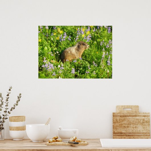 Marmot in Mount Rainier Wildbloemen Poster (Keuken)
