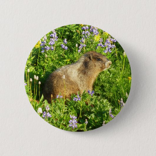Marmot in Mount Rainier Wildbloemen Ronde Button 5,7 Cm (Voorkant)