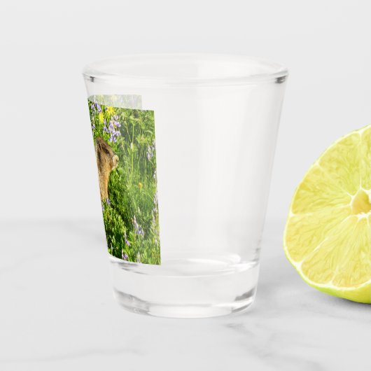 Marmot in Mount Rainier Wildbloemen Shot Glas (Rechts)