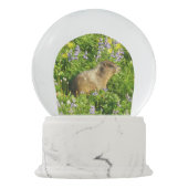 Marmot in Mount Rainier Wildbloemen Sneeuwbol (Achterkant)