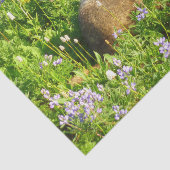 Marmot in Mount Rainier Wildbloemen Tissuepapier (Detail)