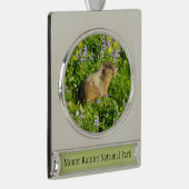 Marmot in Mount Rainier Wildbloemen Verzilverd Banner Ornament (Rechts)
