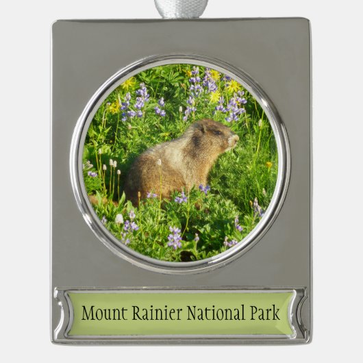 Marmot in Mount Rainier Wildbloemen Verzilverd Banner Ornament (Voorkant)