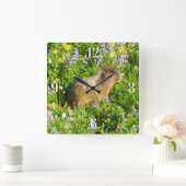 Marmot in Mount Rainier Wildbloemen Vierkante Klok (Huis)