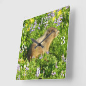 Marmot in Mount Rainier Wildbloemen Vierkante Klok (Hoek)