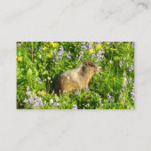 Marmot in Mount Rainier Wildbloemen Visitekaartje (Achterkant)
