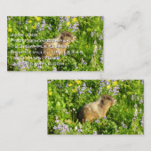 Marmot in Mount Rainier Wildbloemen Visitekaartje (Voorkant / Achterkant)