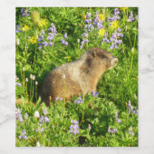 Marmot in Mount Rainier Wildbloemen Wijn Etiket (Enkel label)