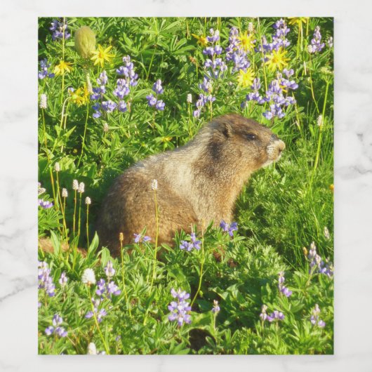 Marmot in Mount Rainier Wildbloemen Wijn Etiket (Enkel label)