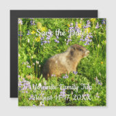 Marmot in Mount Rainier Wilde Bloemen (Voorkant / Achterkant)