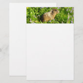 Marmot in Mount Rainier Wilde Bloemen Briefpapier (Voorkant / Achterkant)