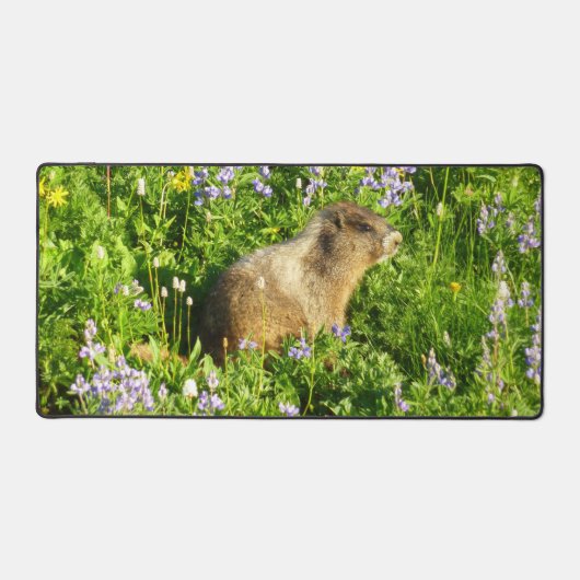 Marmot in Mount Rainier Wilde Bloemen Bureaumat (Voorkant)