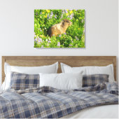 Marmot in Mount Rainier Wilde Bloemen Canvas Afdruk (Insitu (Slaapkamer))