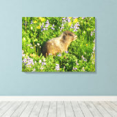 Marmot in Mount Rainier Wilde Bloemen Canvas Afdruk (Insitu (Houten vloer))
