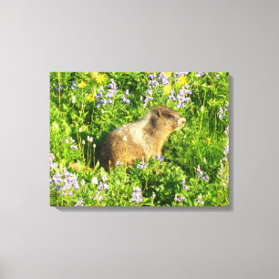 Marmot in Mount Rainier Wilde Bloemen Canvas Afdruk