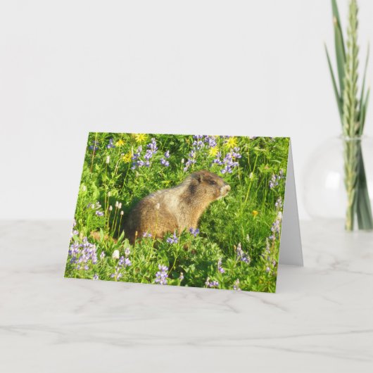 Marmot in Mount Rainier Wilde Bloemen Kaart (Voorkant)