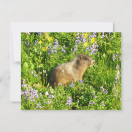 Marmot in Mount Rainier Wilde Bloemen Kaart