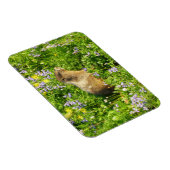 Marmot in Mount Rainier Wilde Bloemen Magneet (Rechterzijde)