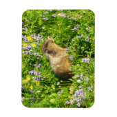 Marmot in Mount Rainier Wilde Bloemen Magneet (Verticaal)