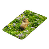 Marmot in Mount Rainier Wilde Bloemen Magneet (Linkerzijde)
