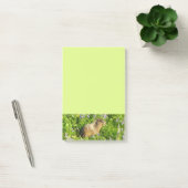 Marmot in Mount Rainier Wilde Bloemen Post-it® Notes (Kantoor)