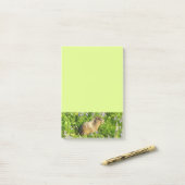 Marmot in Mount Rainier Wilde Bloemen Post-it® Notes (Op bureau)