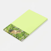 Marmot in Mount Rainier Wilde Bloemen Post-it® Notes (Schuin)