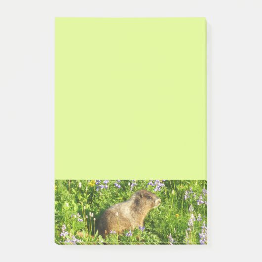 Marmot in Mount Rainier Wilde Bloemen Post-it® Notes (Voorkant)