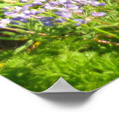 Marmot in Mount Rainier Wilde Bloemen Poster (Hoek)
