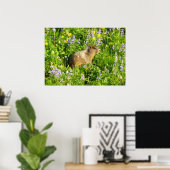 Marmot in Mount Rainier Wilde Bloemen Poster (Thuiskantoor)