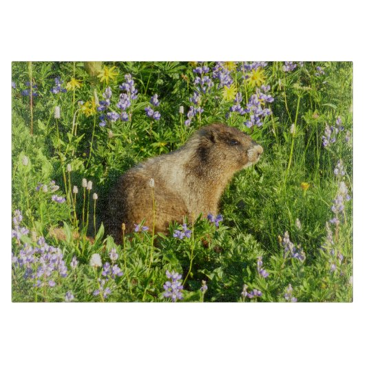 Marmot in Mount Rainier Wilde Bloemen Snijplank (Voorkant)