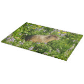 Marmot in Mount Rainier Wilde Bloemen Snijplank (Hoek)