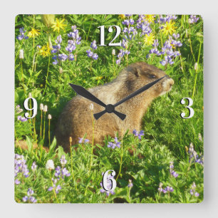 Marmot in Mount Rainier Wilde Bloemen Vierkante Klok