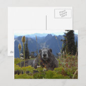 marmot in paradijs briefkaart (Voorkant / Achterkant)