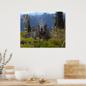 Marmot in Paradise Poster (Keuken)