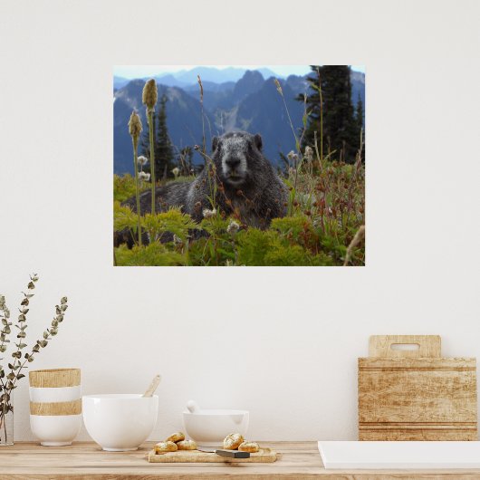 Marmot in Paradise Poster (Keuken)