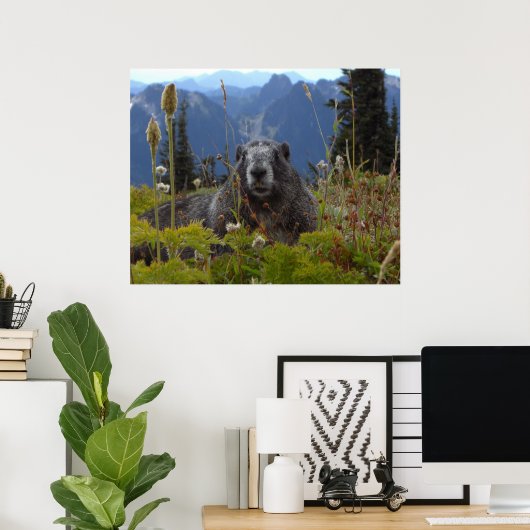 Marmot in Paradise Poster (Thuiskantoor)