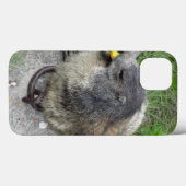 Marmot iPad cases (Achterkant (horizontaal))