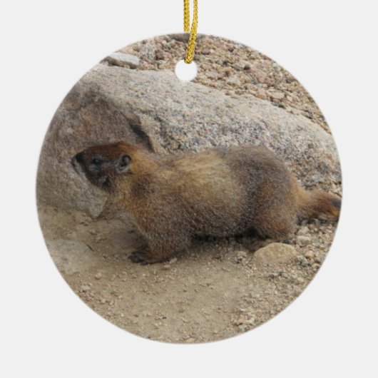 Marmot Keramisch Ornament (Voorkant)