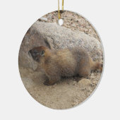 Marmot Keramisch Ornament (Links)