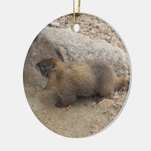 Marmot Keramisch Ornament (Links)