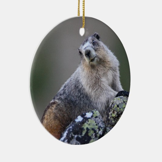 marmot keramisch ornament (Rechts)