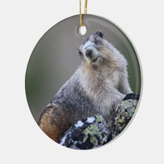 marmot keramisch ornament (Links)