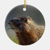 Marmot Keramisch Ornament (Voorkant)