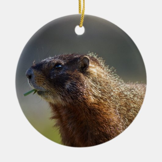 Marmot Keramisch Ornament (Voorkant)