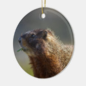 Marmot Keramisch Ornament (Links)