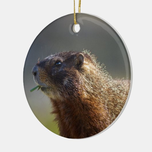 Marmot Keramisch Ornament (Links)