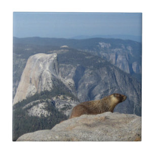 Marmot kijkt half koepel van wolkenrust over - Yo Tegeltje
