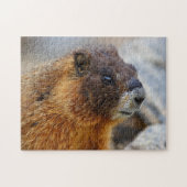 marmot legpuzzel (Horizontaal)